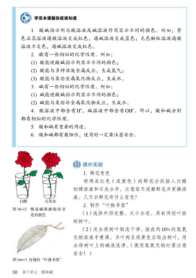 �n�} 10.1 ��Ҋ����͉A_