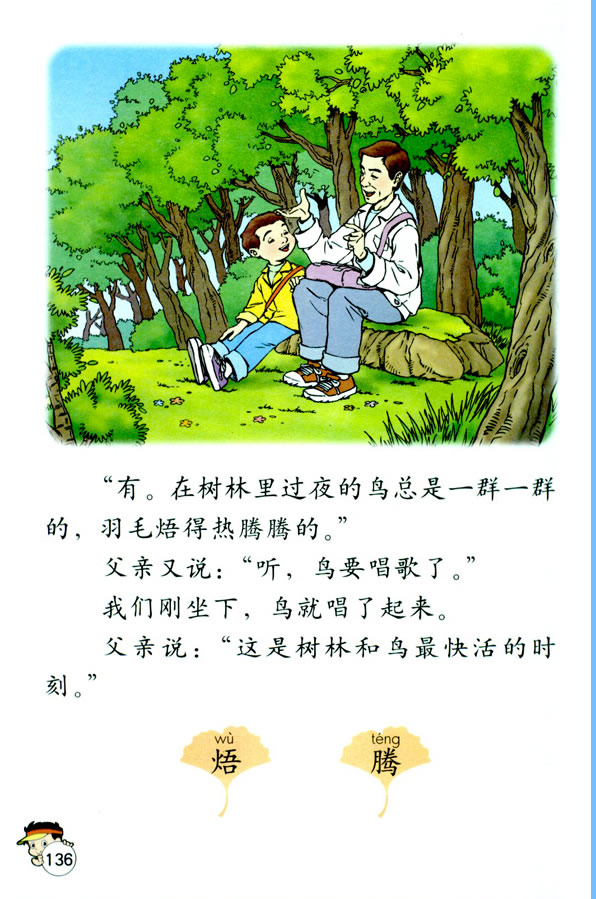 29�����H���B_