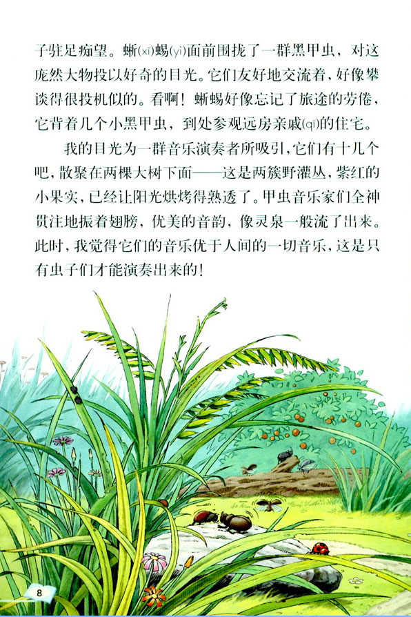 3�����x�Ĵ���_