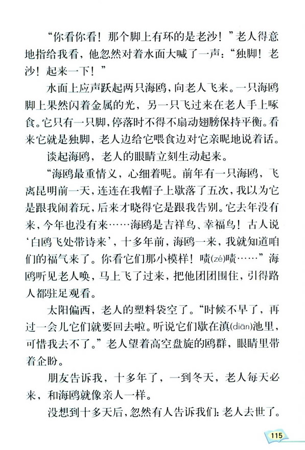 21�������c���t_