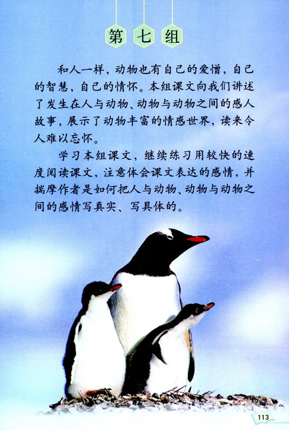 21�������c���t_