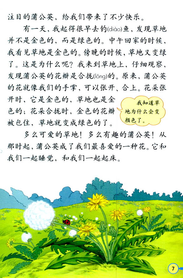 2����ɫ�Ĳݵ�_