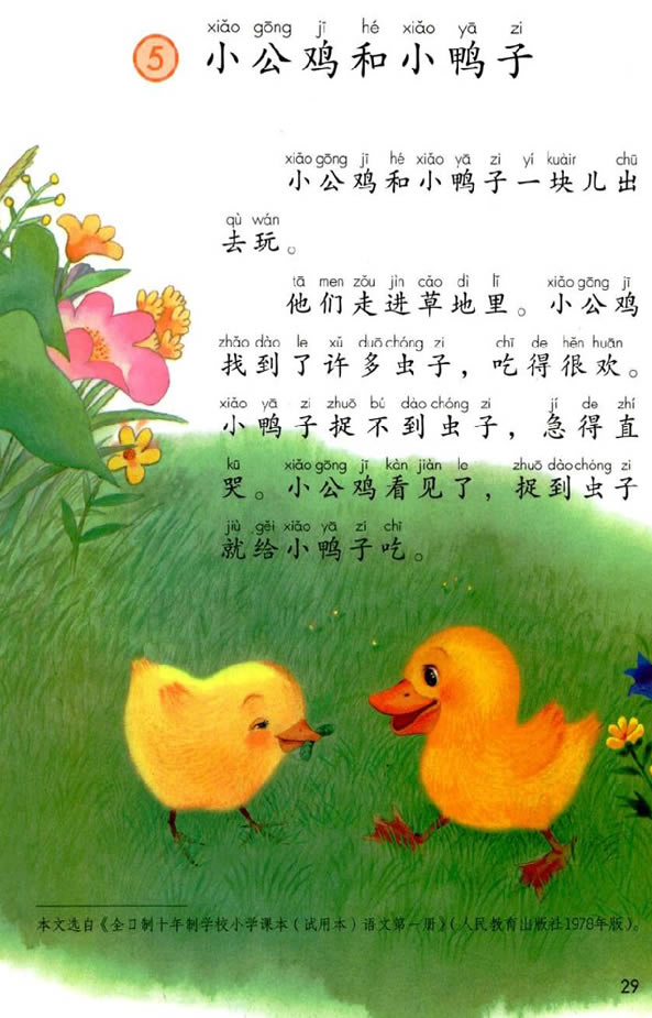 5��С���u��С����_