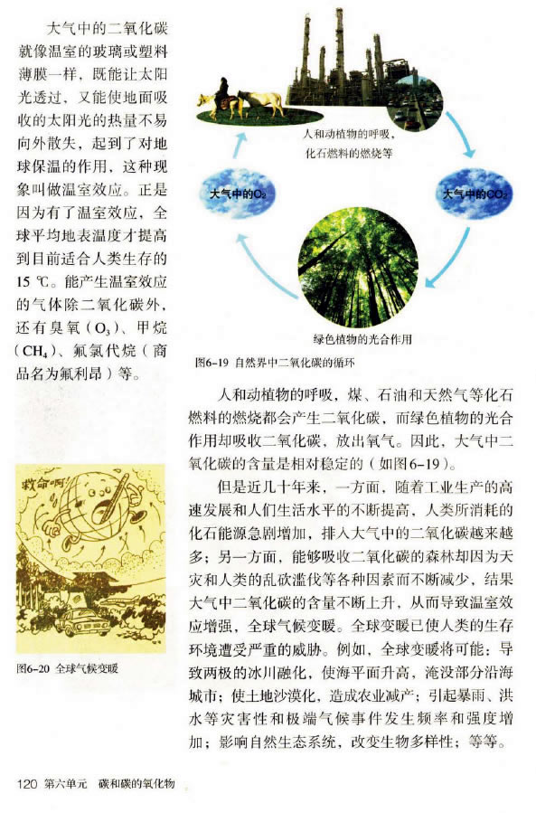 �n�} 6.3 ������̼��һ����̼_