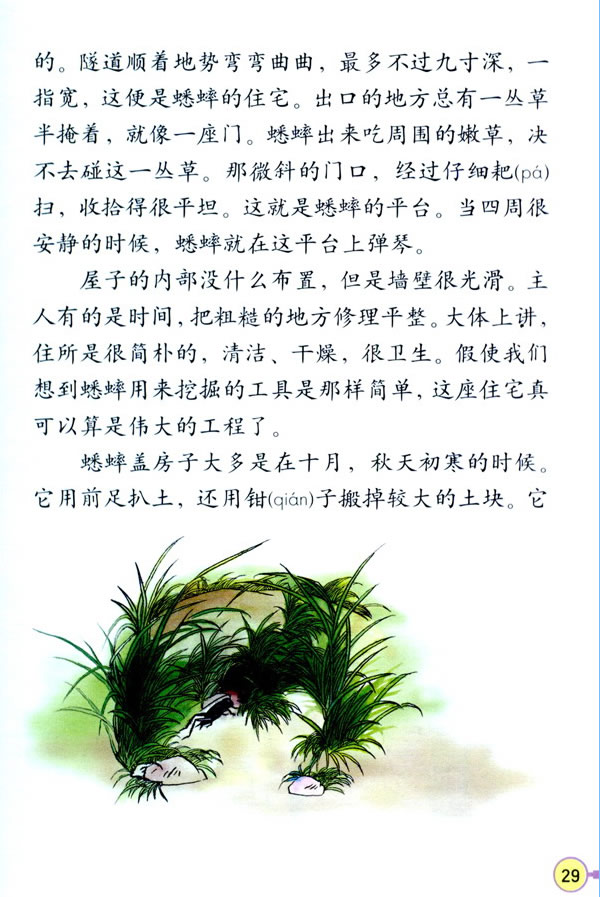 7�����סլ_